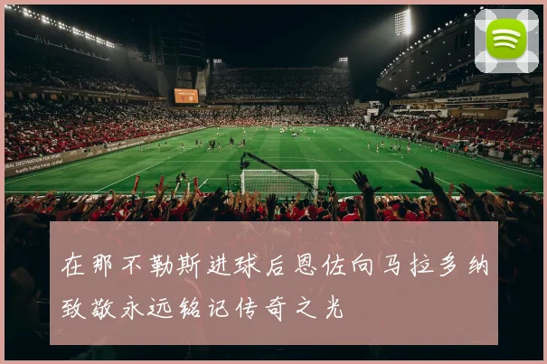 在那不勒斯进球后恩佐向马拉多纳致敬永远铭记传奇之光